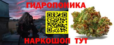 гидропоника Партизанск