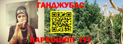 индика Первоуральск
