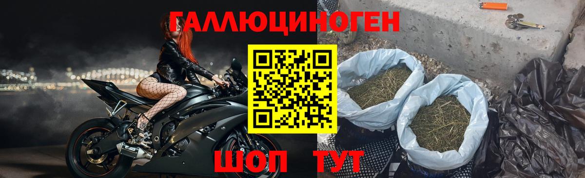 Псилоцибиновые грибы ЛСД  Псилоцибиновые грибы мицелий  Вход с VPN  Славянск-на-Кубани 